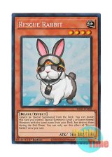 画像: 英語版 RA02-EN008 Rescue Rabbit レスキューラビット (プリズマティックコレクターズレア) 1st Edition