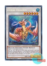 画像: 英語版 RA02-EN031 Coral Dragon 瑚之龍 (シークレットレア) 1st Edition