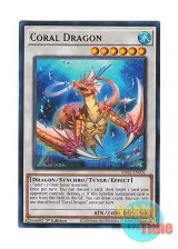 画像: 英語版 RA02-EN031 Coral Dragon 瑚之龍 (ウルトラレア) 1st Edition