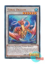 画像: 英語版 RA02-EN031 Coral Dragon 瑚之龍 (プリズマティックアルティメットレア) 1st Edition