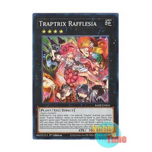 画像: 英語版 RA02-EN034 Traptrix Rafflesia フレシアの蟲惑魔 (スーパーレア) 1st Edition