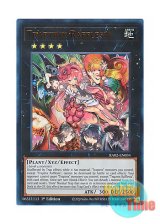 画像: 英語版 RA02-EN034 Traptrix Rafflesia フレシアの蟲惑魔 (ウルトラレア) 1st Edition