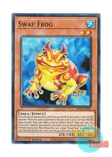 画像: 英語版 RA03-EN005 Swap Frog 鬼ガエル (スーパーレア) 1st Edition