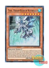 画像: 英語版 RA03-EN009 Tidal, Dragon Ruler of Waterfalls 瀑征竜－タイダル (スーパーレア) 1st Edition