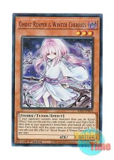 画像: 英語版 RA03-EN014 Ghost Reaper & Winter Cherries【Alternate Art】 浮幽さくら【イラスト違い】 (ウルトラレア) 1st Edition