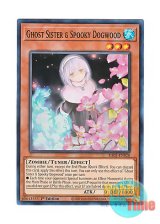 画像: 英語版 RA03-EN020 Ghost Sister & Spooky Dogwood【Alternate Art】 儚無みずき【イラスト違い】 (スーパーレア) 1st Edition