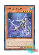 画像: 英語版 RA03-EN031 Crystal Shark クリスタル・シャーク (スーパーレア) 1st Edition