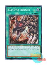 画像: 英語版 RA03-EN061 Red-Eyes Insight レッドアイズ・インサイト (シークレットレア) 1st Edition