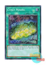 画像: 英語版 RA03-EN067 Cynet Mining サイバネット・マイニング (シークレットレア) 1st Edition