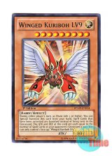 画像: 英語版 RYMP-EN014 Winged Kuriboh LV9 ハネクリボー LV９ (レア) 1st Edition