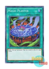 画像: 英語版 SHVA-EN055 Magic Planter マジック・プランター (スーパーレア) 1st Edition