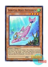 画像: 英語版 THSF-EN026 Spiritual Beast Pettlephin 精霊獣 ペトルフィン (スーパーレア) 1st Edition