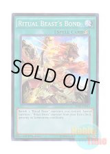 画像: 英語版 THSF-EN031 Ritual Beast's Bond 霊獣の相絆 (スーパーレア) 1st Edition