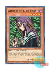 画像: 英語版 TOCH-EN027 Witch of the Black Forest 黒き森のウィッチ (レア) 1st Edition