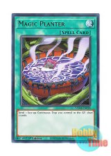 画像: 英語版 VASM-EN028 Magic Planter マジック・プランター (レア) 1st Edition