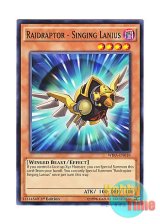 画像: 英語版 WIRA-EN018 Raidraptor - Singing Lanius RR－シンギング・レイニアス (ノーマル) 1st Edition