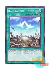 画像: 英語版 WIRA-EN026 Raidraptor - Nest RR－ネスト (ノーマル) 1st Edition