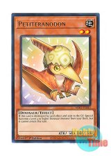 画像: 英語版 WISU-EN014 Petiteranodon プチラノドン (レア) 1st Edition