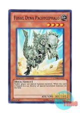 画像: 英語版 CT08-EN012 Fossil Dyna Pachycephalo フォッシル・ダイナ パキケファロ (スーパーレア) Limited Edition