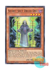 画像: 英語版 MP14-EN133 Secret Sect Druid Dru 暗躍のドルイド・ドリュース (ノーマル) 1st Edition