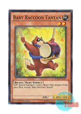 画像: 英語版 MP14-EN137 Baby Raccoon Tantan 子狸たんたん (ノーマル) 1st Edition