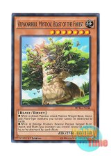 画像: 英語版 MP14-EN244 Alpacaribou, Mystical Beast of the Forest 森の聖獣 アルパカリブ (ノーマル) 1st Edition