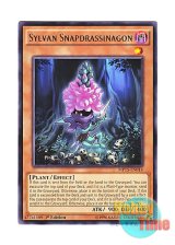 画像: 英語版 MP15-EN014 Sylvan Snapdrassinagon 森羅の隠蜜 スナッフ (レア) 1st Edition