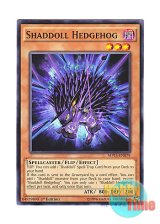 画像: 英語版 MP15-EN079 Shaddoll Hedgehog シャドール・ヘッジホッグ (ノーマル) 1st Edition