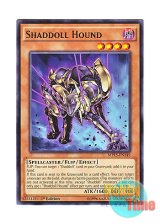 画像: 英語版 MP15-EN149 Shaddoll Hound シャドール・ハウンド (ノーマル) 1st Edition