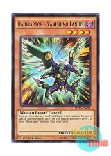 画像: 英語版 MP15-EN201 Raidraptor - Vanishing Lanius RR－バニシング・レイニアス (ノーマル) 1st Edition