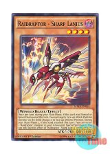 画像: 英語版 MP16-EN014 Raidraptor - Sharp Lanius RR－インペイル・レイニアス (ノーマル) 1st Edition