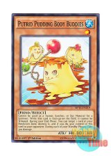 画像: 英語版 MP16-EN019 Putrid Pudding Body Buddies プリン隊 (ノーマル) 1st Edition