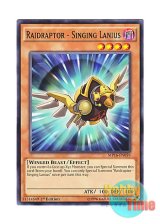 画像: 英語版 MP16-EN059 Raidraptor - Singing Lanius RR－シンギング・レイニアス (ノーマル) 1st Edition