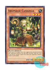 画像: 英語版 MP16-EN070 Aromage Cananga アロマージ－カナンガ (ノーマル) 1st Edition