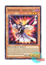 画像: 英語版 MP16-EN117 Raidraptor - Skull Eagle RR－スカル・イーグル (ノーマル) 1st Edition