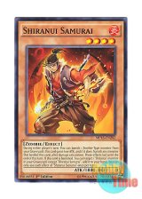 画像: 英語版 MP16-EN202 Shiranui Samurai 不知火の武士 (ノーマル) 1st Edition