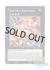 画像: 英語版 MP16-EN239 Traptrix Rafflesia フレシアの蟲惑魔 (シークレットレア) 1st Edition