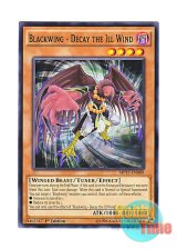 画像: 英語版 MP17-EN009 Blackwing - Decay the Ill Wind BF－弔風のデス (ノーマル) 1st Edition