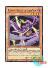 画像: 英語版 MP17-EN067 Blackwing - Tornado the Reverse Wind BF－逆巻のトルネード (ノーマル) 1st Edition