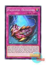 画像: 英語版 MP17-EN122 Paleozoic Olenoides バージェストマ・オレノイデス (ノーマル) 1st Edition