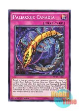 画像: 英語版 MP17-EN124 Paleozoic Canadia バージェストマ・カナディア (ノーマル) 1st Edition