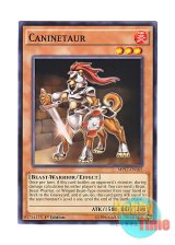 画像: 英語版 MP17-EN165 Caninetaur 犬タウルス (ノーマル) 1st Edition