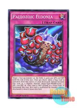 画像: 英語版 MP17-EN168 Paleozoic Eldonia バージェストマ・エルドニア (ノーマル) 1st Edition