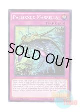 画像: 英語版 MP17-EN170 Paleozoic Marrella バージェストマ・マーレラ (ノーマル) 1st Edition