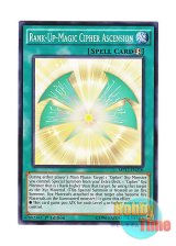 画像: 英語版 MP17-EN210 Rank-Up-Magic Cipher Ascension RUM－光波昇華 (ノーマル) 1st Edition