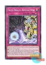 画像: 英語版 MP18-EN023 True Draco Apocalypse 真竜の黙示録 (ノーマル) 1st Edition