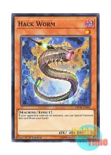 画像: 英語版 MP18-EN041 Hack Worm ハック・ワーム (ノーマル) 1st Edition