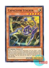 画像: 英語版 MP18-EN105 Capacitor Stalker コンデンサー・デスストーカー (ノーマル) 1st Edition