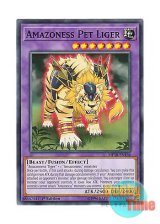 画像: 英語版 MP18-EN166 Amazoness Pet Liger アマゾネスペット虎獅子 (ノーマル) 1st Edition