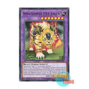 画像: 英語版 MP18-EN166 Amazoness Pet Liger アマゾネスペット虎獅子 (ノーマル) 1st Edition